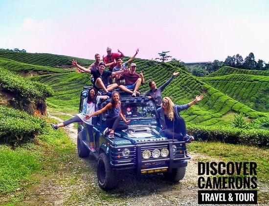 Discover Camerons