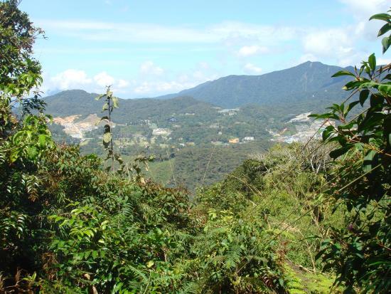 Cameron Highlands Trail No. 5 and 7